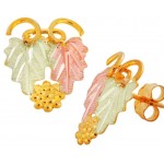 Earrings - by Landstrom's